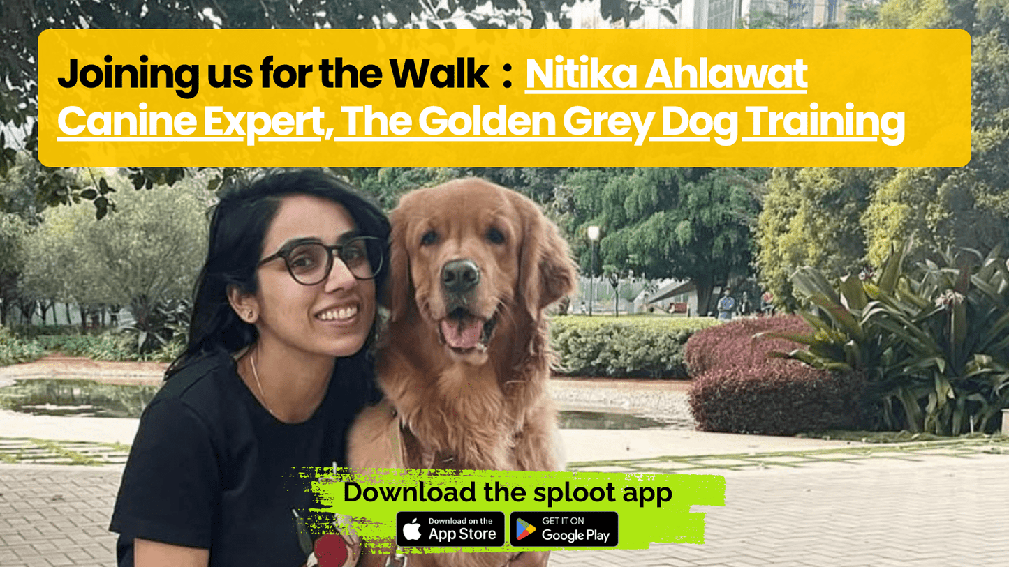 Bengaluru Community Walk - Sploot