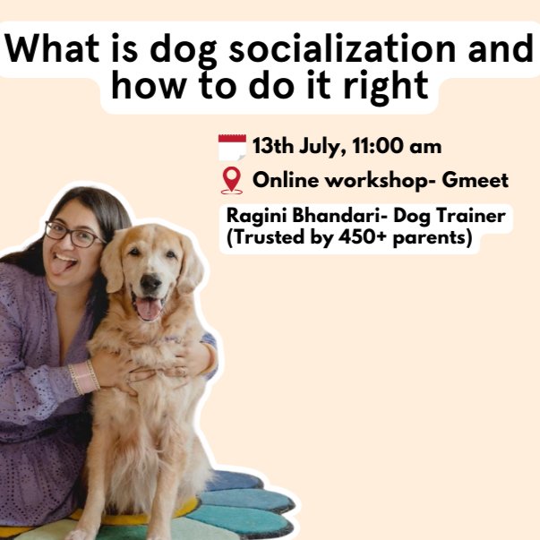 'Dog Socialization and How to do it Right' by Ragini Bhandari - Sploot