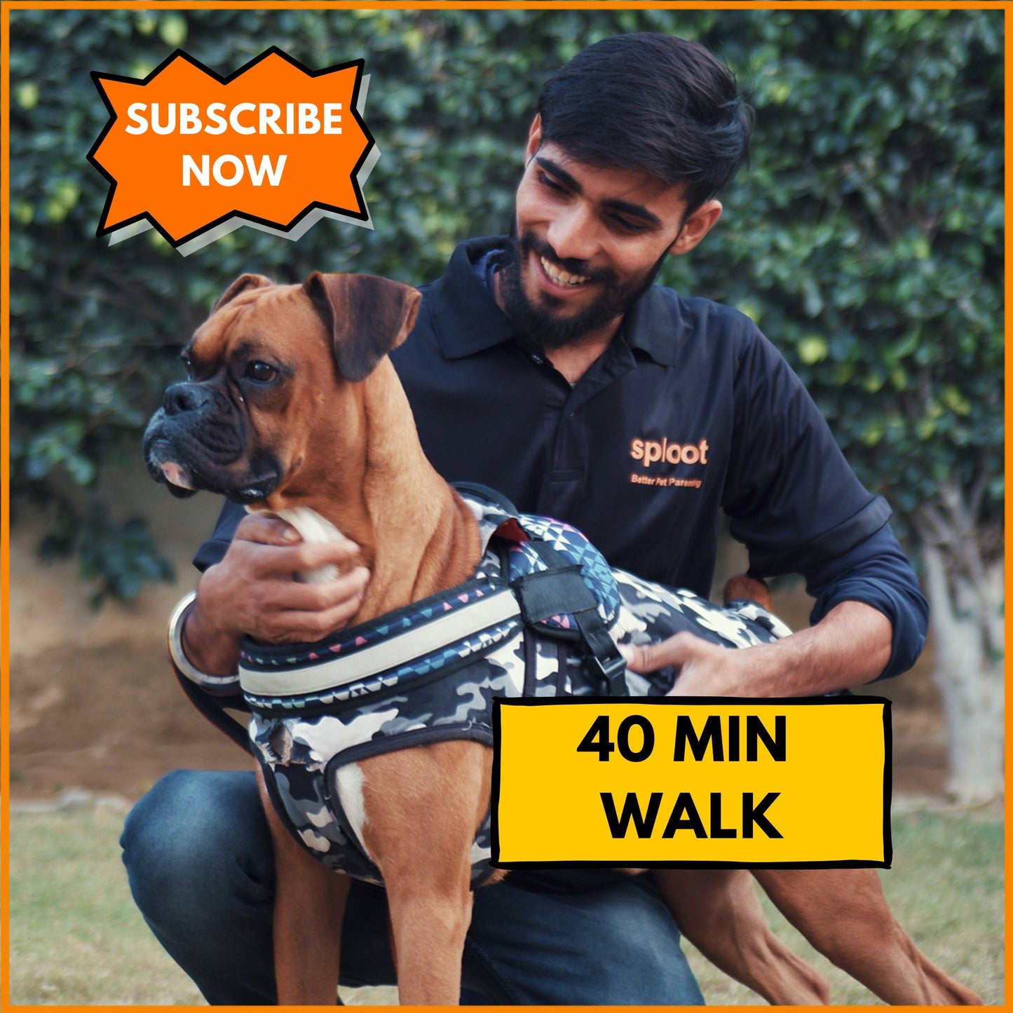 Dog Walking Premium Subscription (40 Mins) - Ahmedabad - Sploot