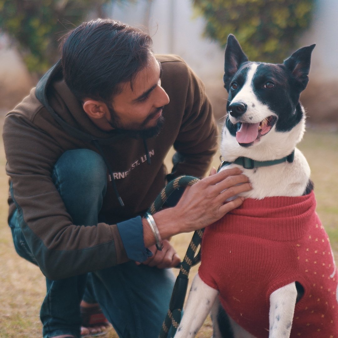 Dog Walking Premium Subscription (40 Mins) - Ahmedabad - Sploot