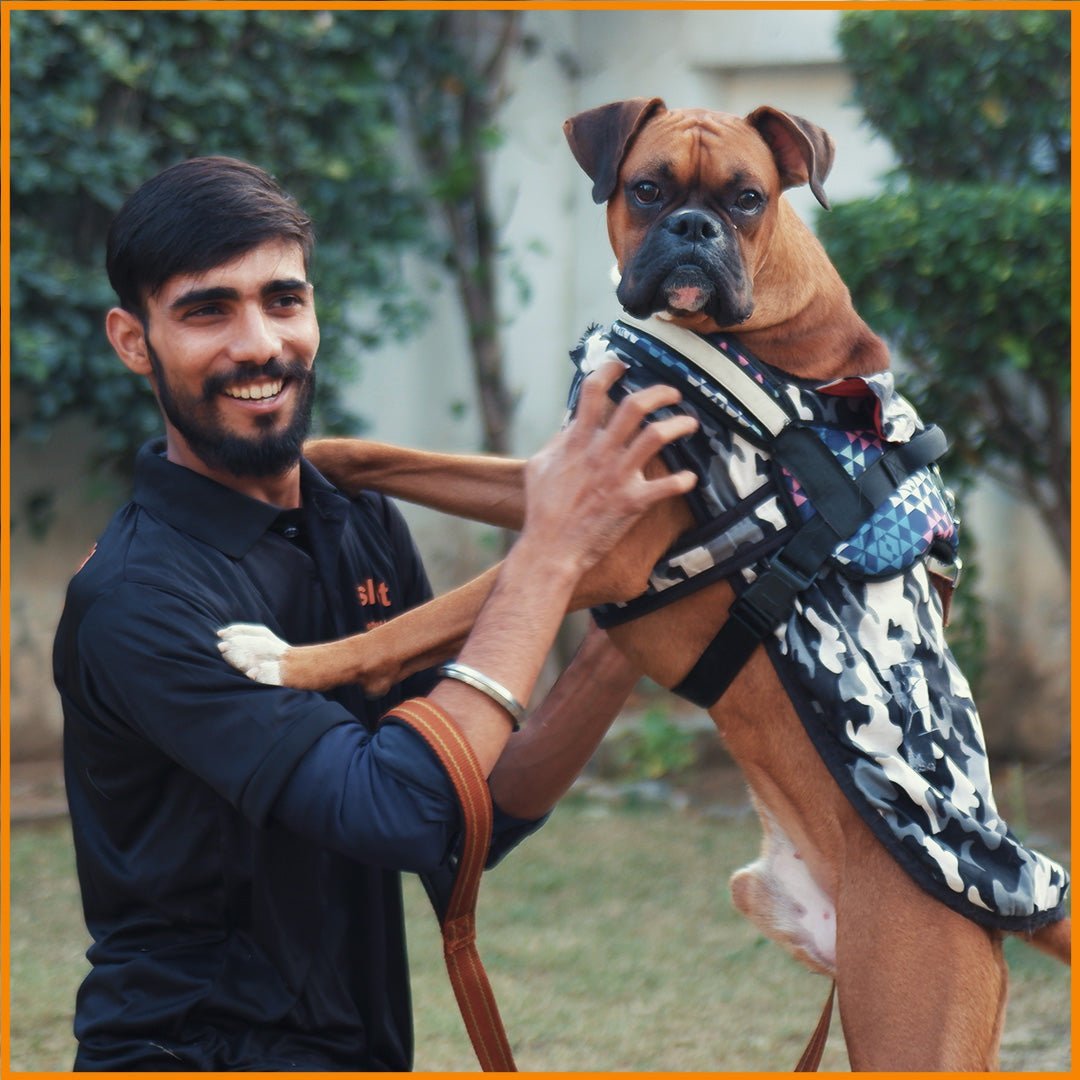 Dog Walking Premium Subscription (40 Mins) - Ahmedabad - Sploot