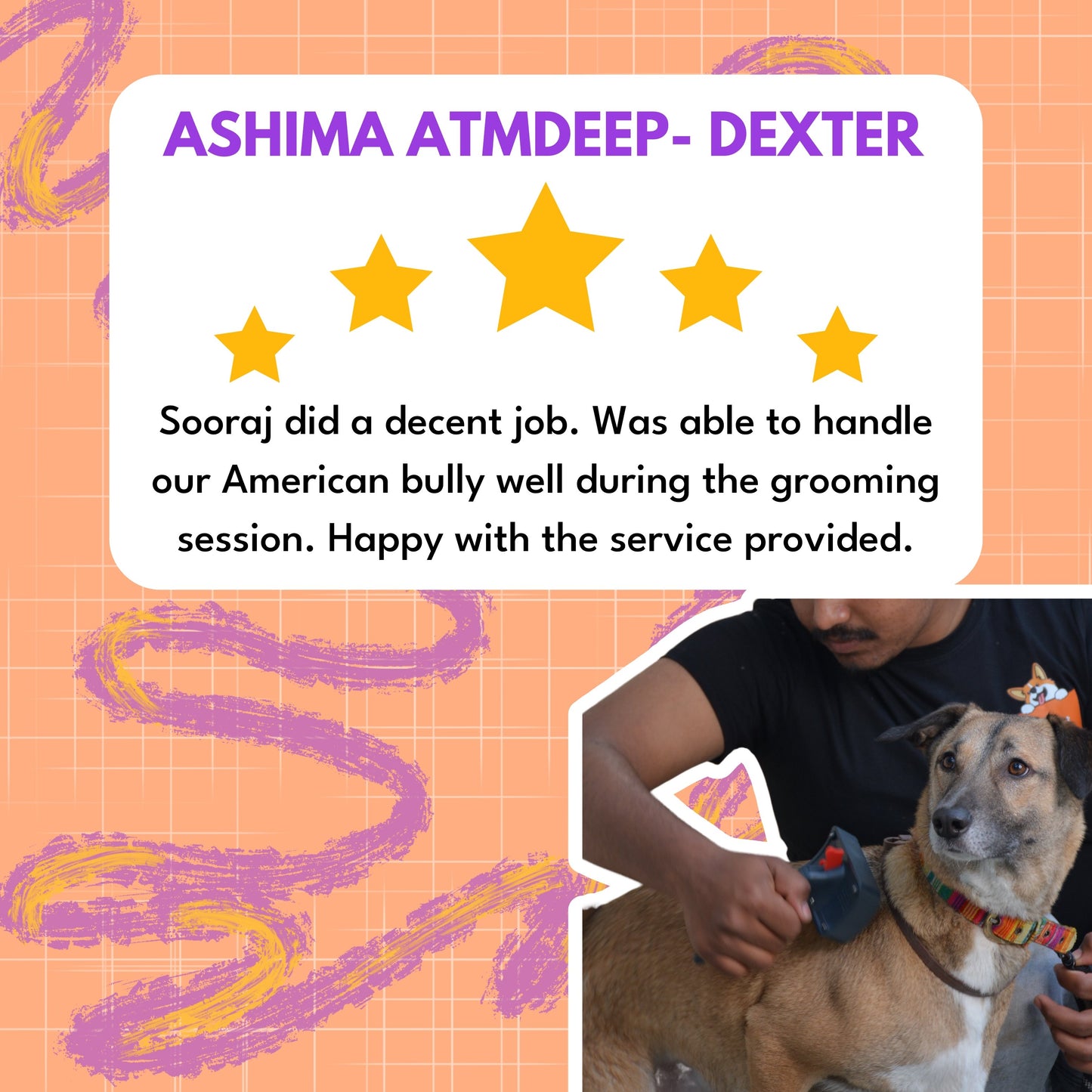 Dog Grooming - Book Slot Now, Pay Later | Delhi & Gurgaon - Sploot