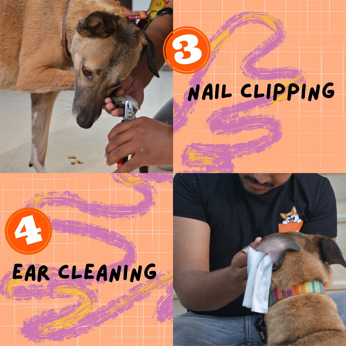 Dog Grooming - Book Slot Now, Pay Later | Delhi & Gurgaon - Sploot