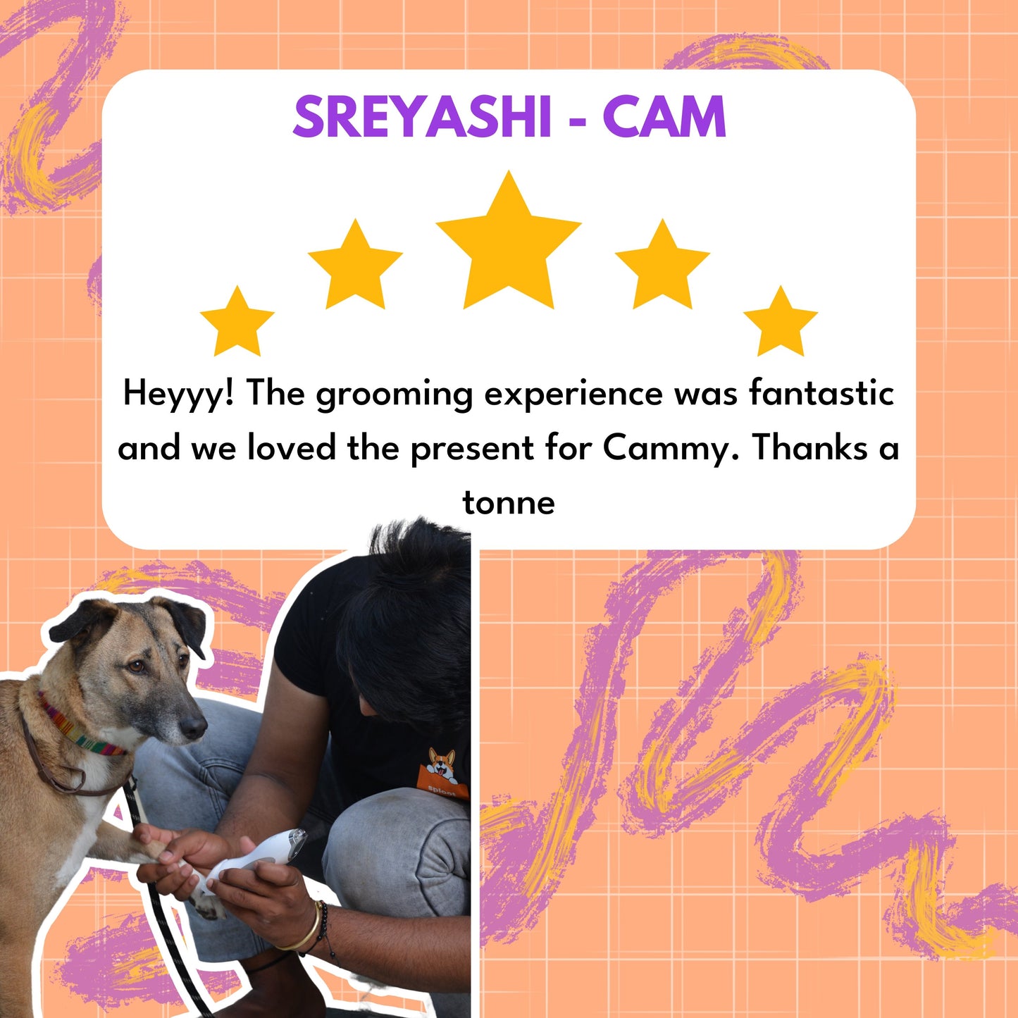 Dog Grooming - Book Slot Now, Pay Later | Delhi & Gurgaon - Sploot