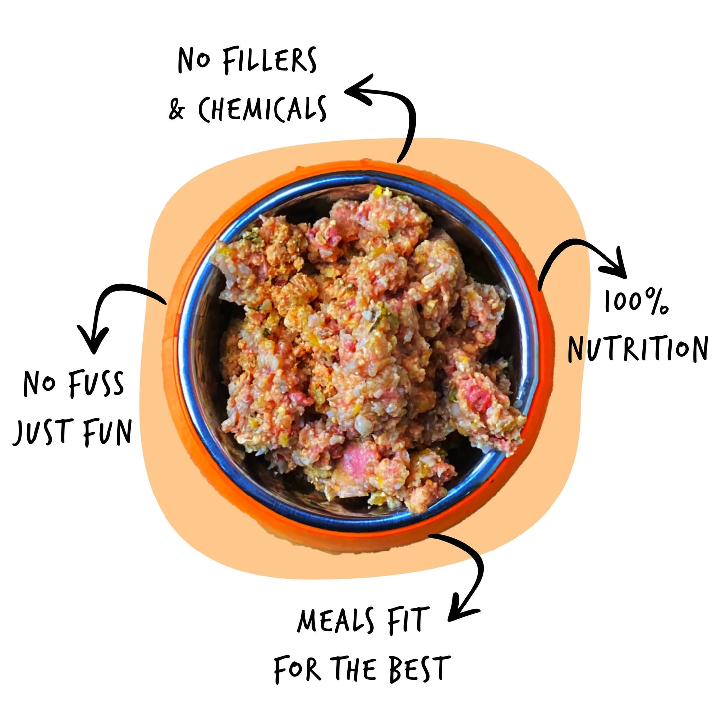 Fresh Dog Food Subscription | sploot Meals - Sploot
