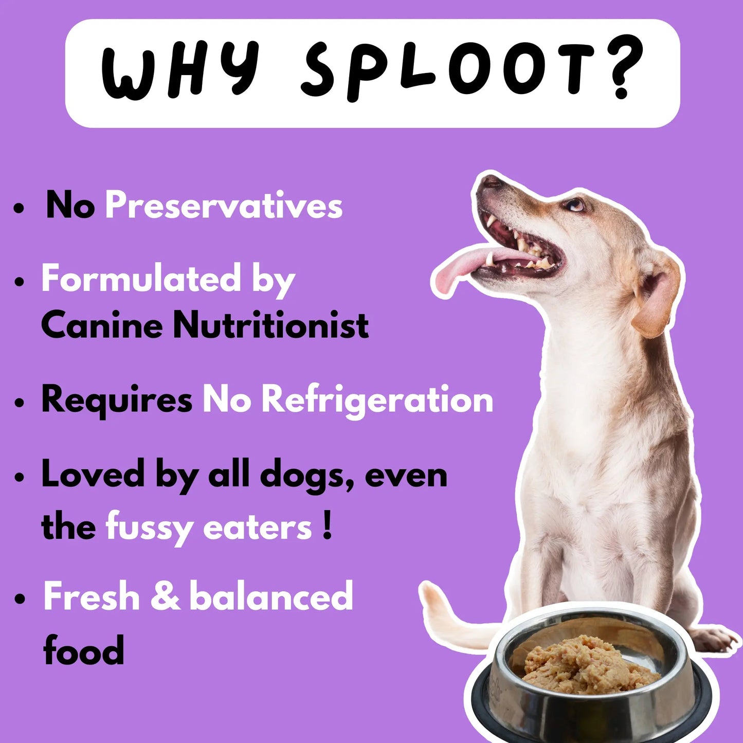 Grain-Free Gobble | 100% Fresh Dog Food - Sploot