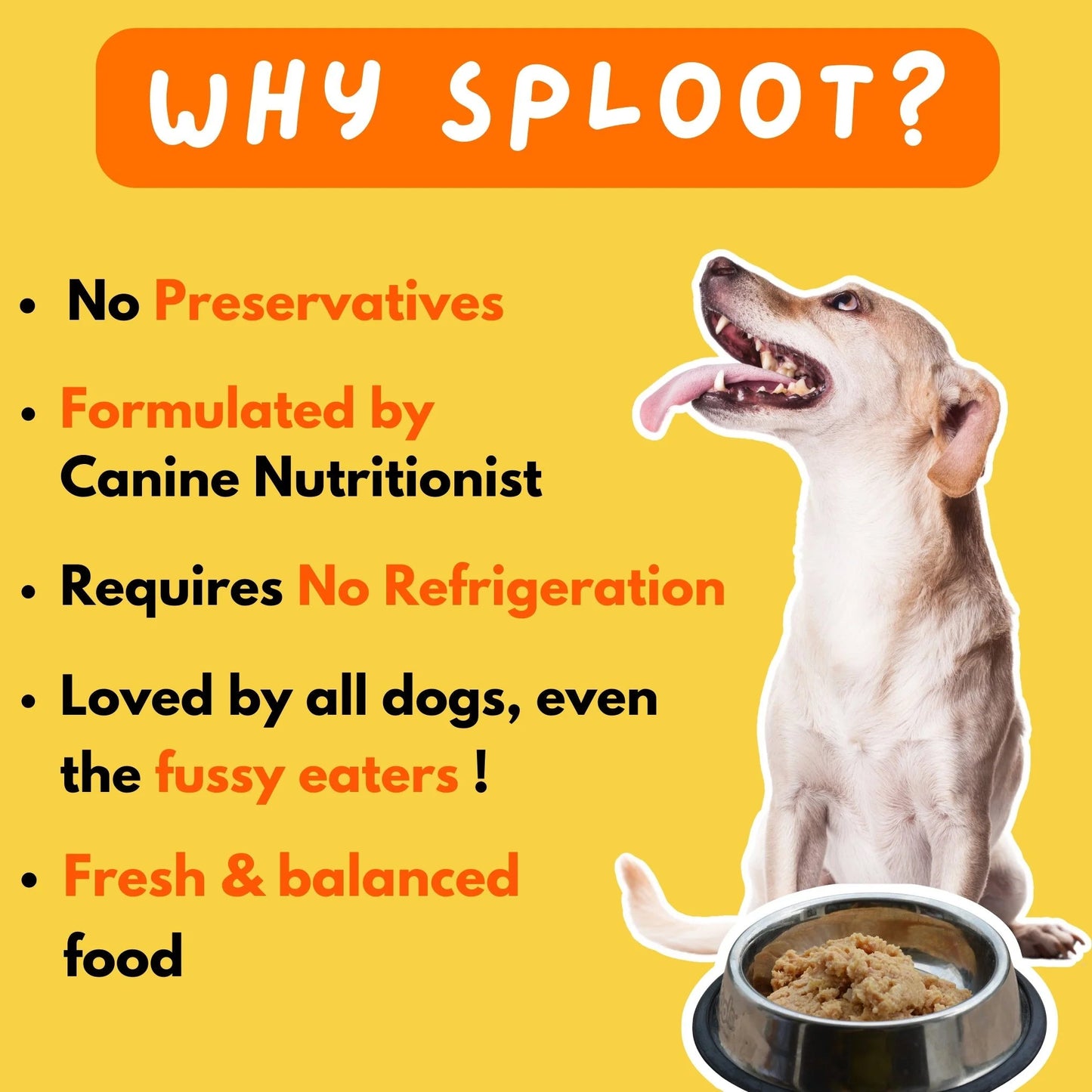 Meaty Mutton | 100% Fresh Dog Food - Sploot