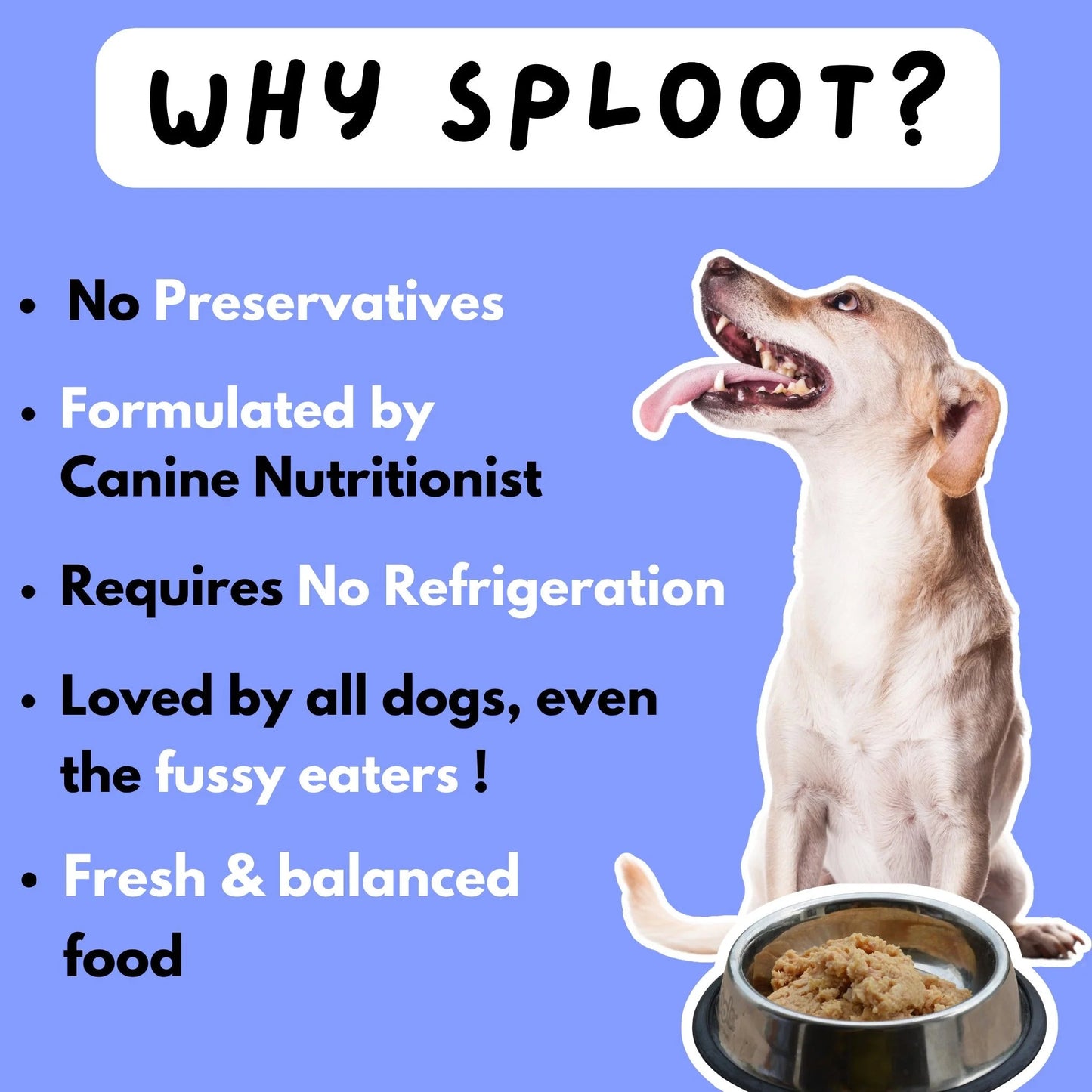 Millet-o-Fish | 100% Fresh Dog Food - Sploot