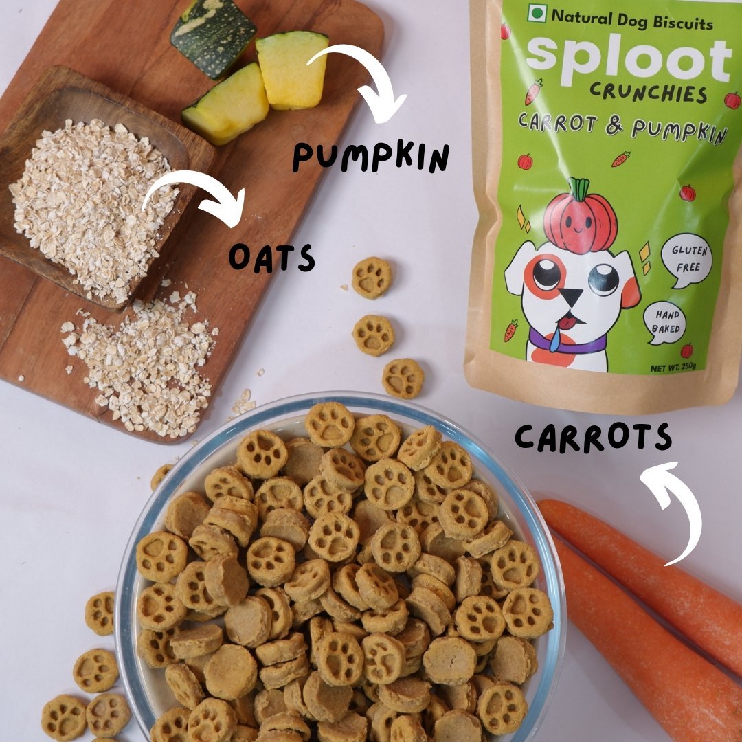 sploot Crunchies - Pack of 2 (Carrot & Pumpkin | Chicken & Cinnamon) | 100% Human Grade Dog Biscuits - Sploot