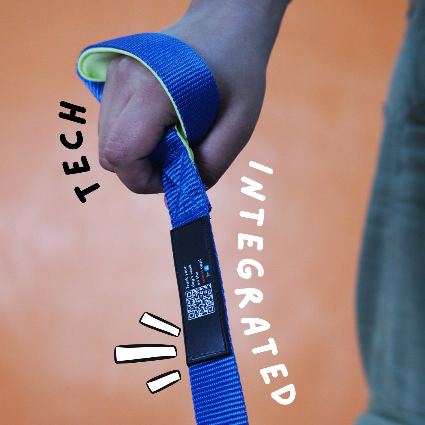 Sploot Originals - Leash & Collar - Blue and Green - Sploot