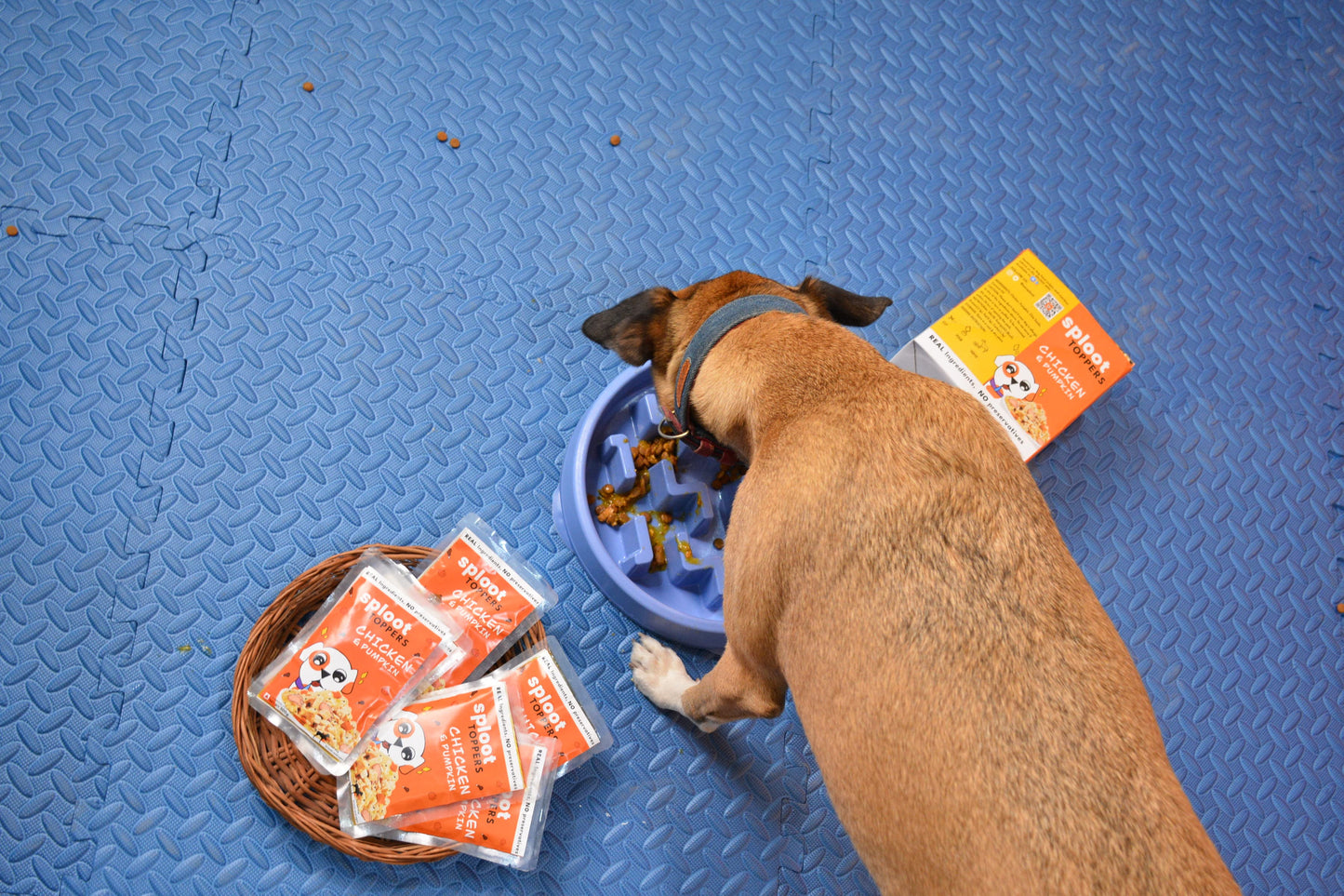 sploot Toppers | 100% Fresh Gravy Topper (12 X 100g) - Sploot