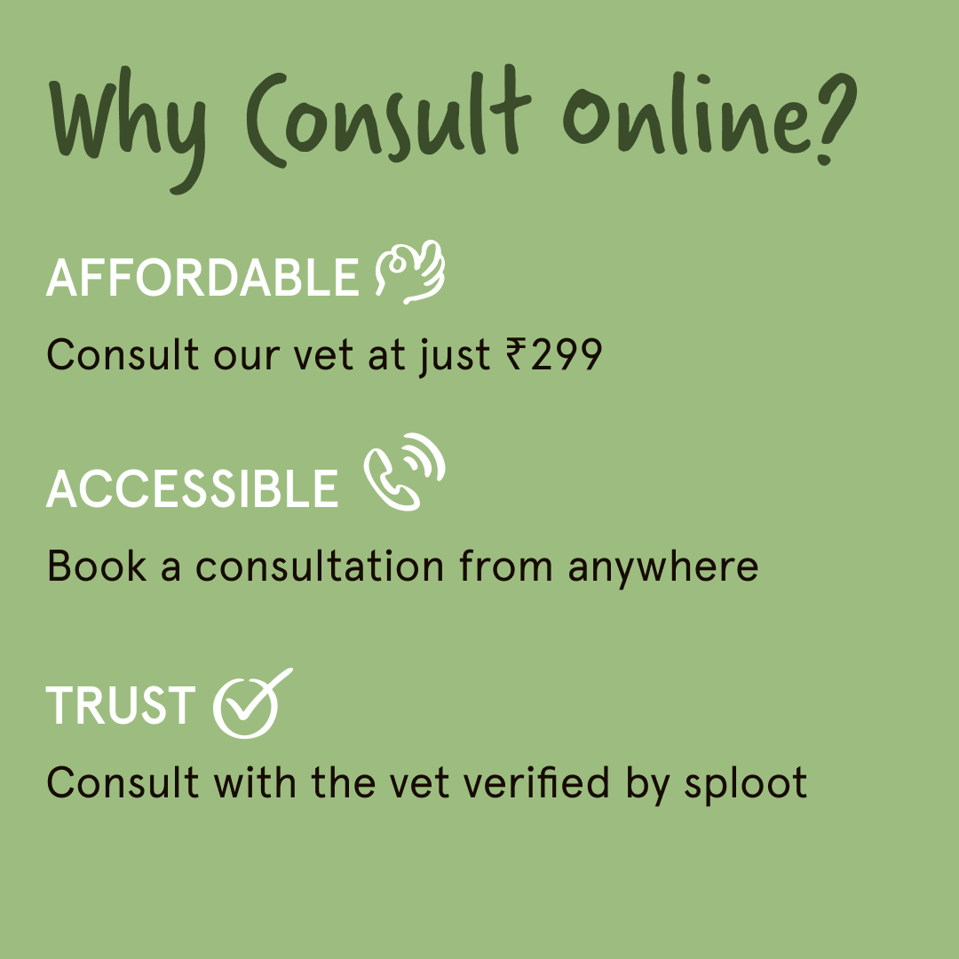 Vet on Call | Online Vet Consultation - Sploot