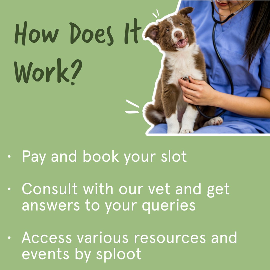 Vet on Call | Online Vet Consultation - Sploot