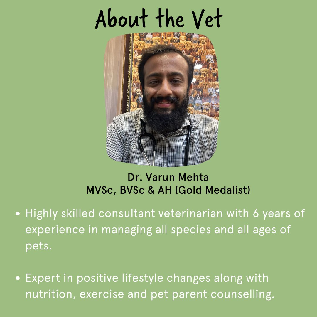 Vet on Call | Online Vet Consultation - Sploot