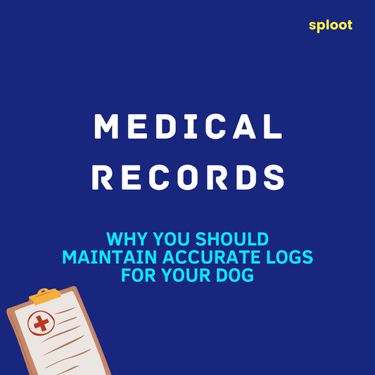 4 Reasons Why Your Dog Needs an Accurate Medical Record - Sploot