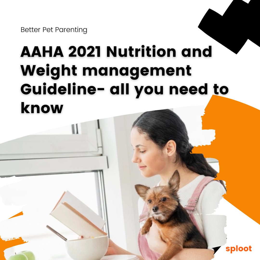 AAHA 2021 Nutrition and Weight Management Guideline- All You Need to Know - Sploot