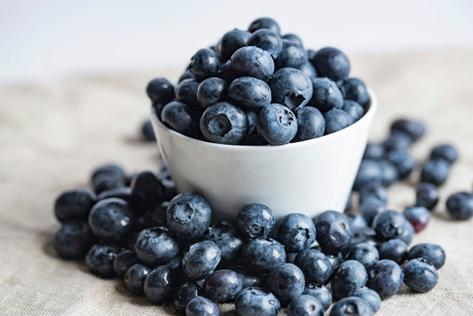 Can Dogs Eat Blueberries? Are Blueberries Safe for Dogs?