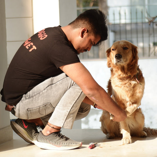When to Seek Immediate Veterinary Care for Your Dog in India - Sploot