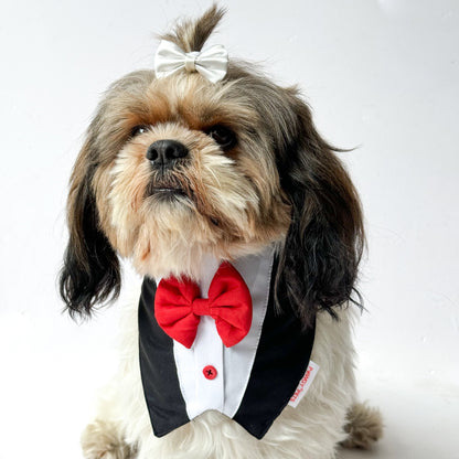 Pawgy Pets Formal Tux Bandana: Black for Dogs & Cats