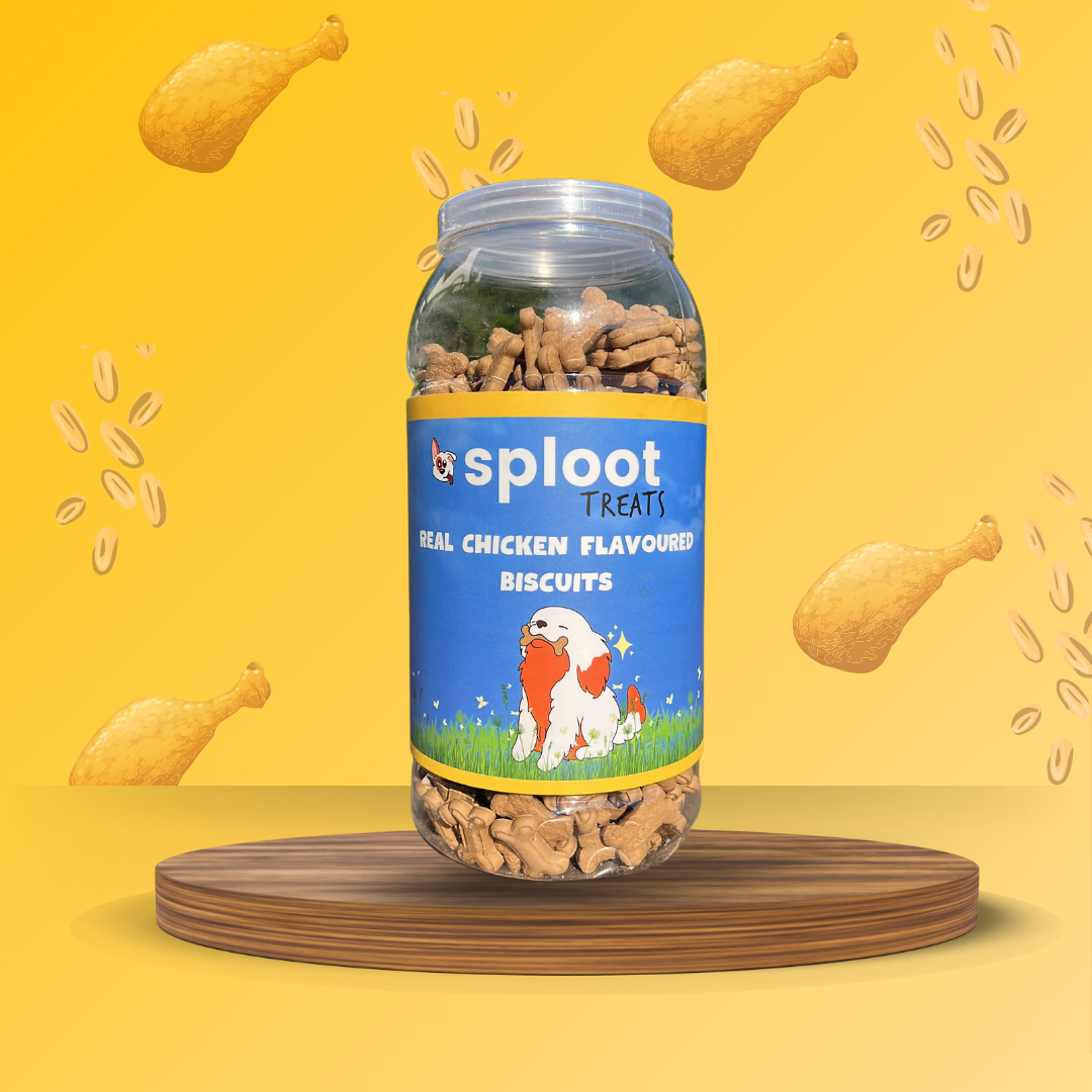 Dog Treats & Biscuits