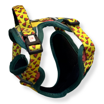 Pawgy Pets Padded Harness Watermelon