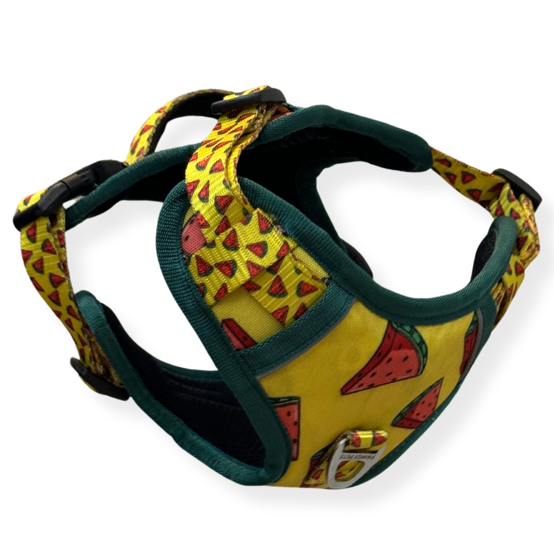 Pawgy Pets Padded Harness Watermelon