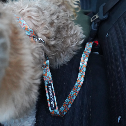 Pawgy Pets Car Leash for Dogs and Cats