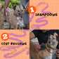 Dog Grooming - Book Slot Now, Pay Later | Delhi & Gurgaon