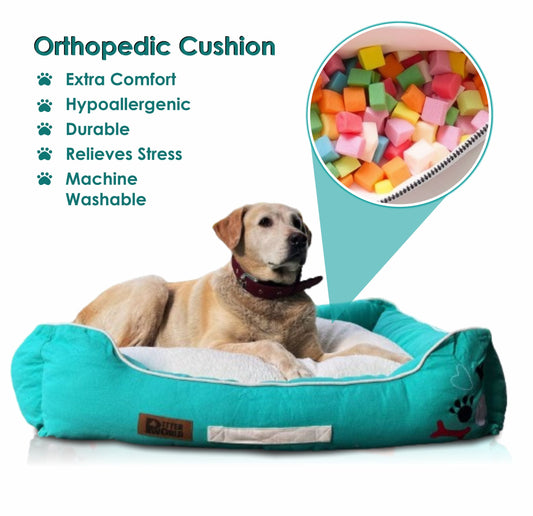 Luxury Turquoise Lounger Bed with Removable Cushion