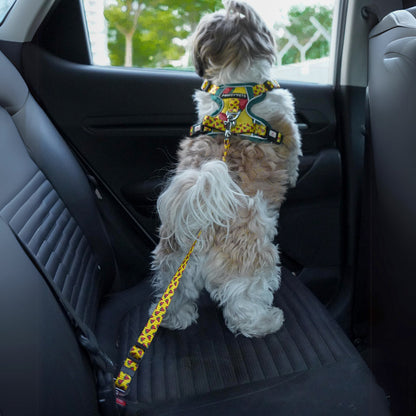 Pawgy Pets Car Leash for Dogs and Cats