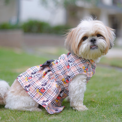 Dog Dress, Female dog dress, shihtzu birthday dress, dog birthday dress Sploot Dog Dress, Female dog dress, shihtzu birthday dress, dog birthday dress Sploot