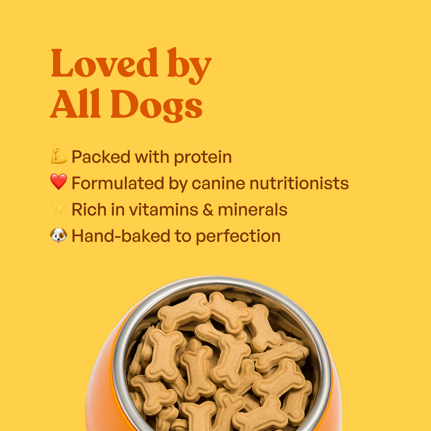 Chicken Flavoured Biscuits | Dog Treats