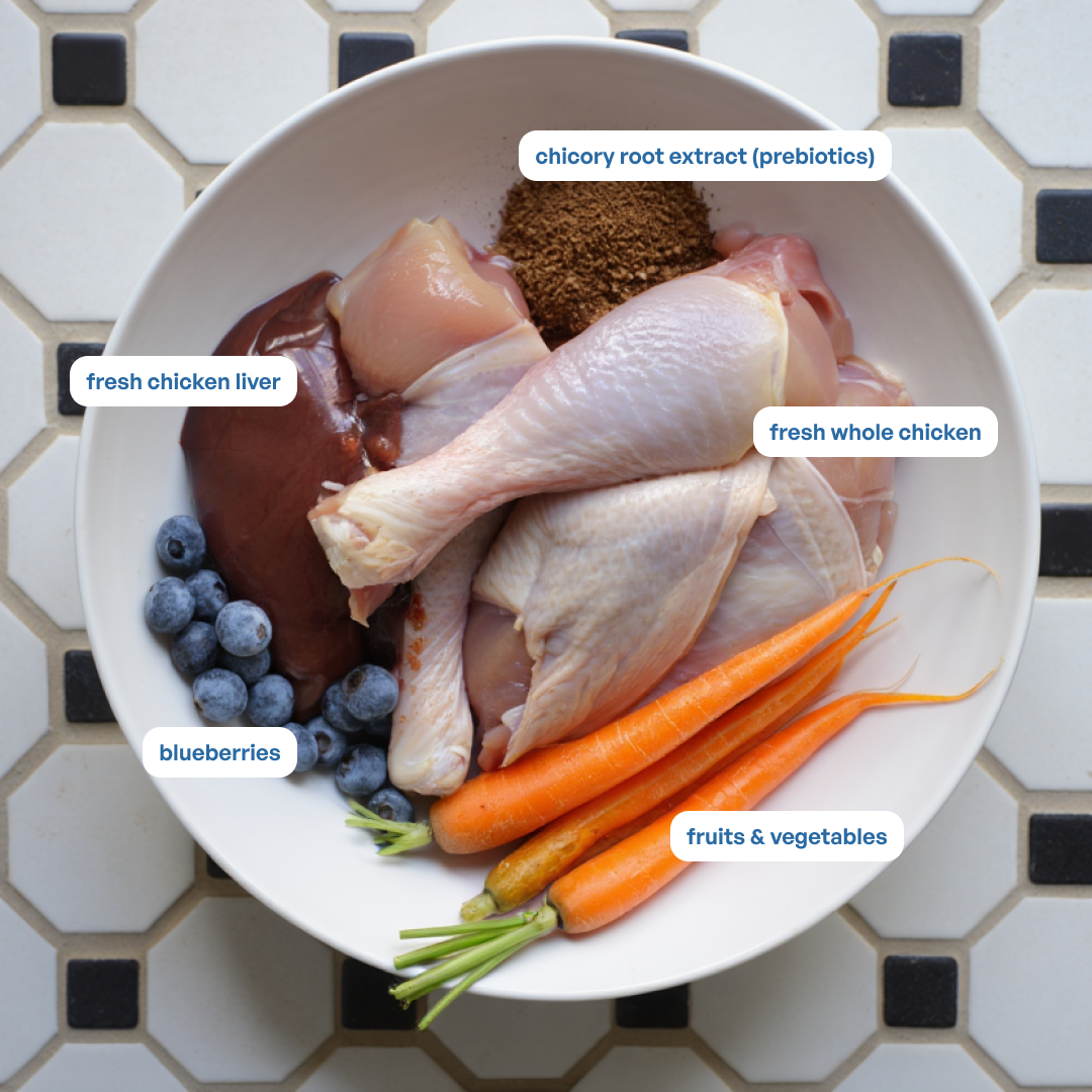 Sploot Real Chicken and Blueberry Soft Sticks - 70g