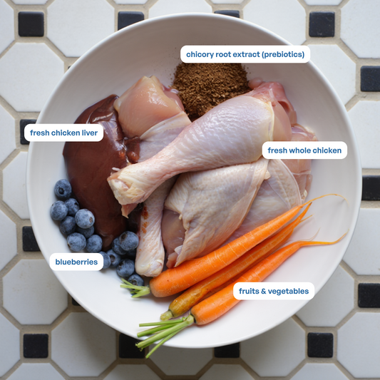 Sploot Real Chicken and Blueberry Soft Sticks - 70g