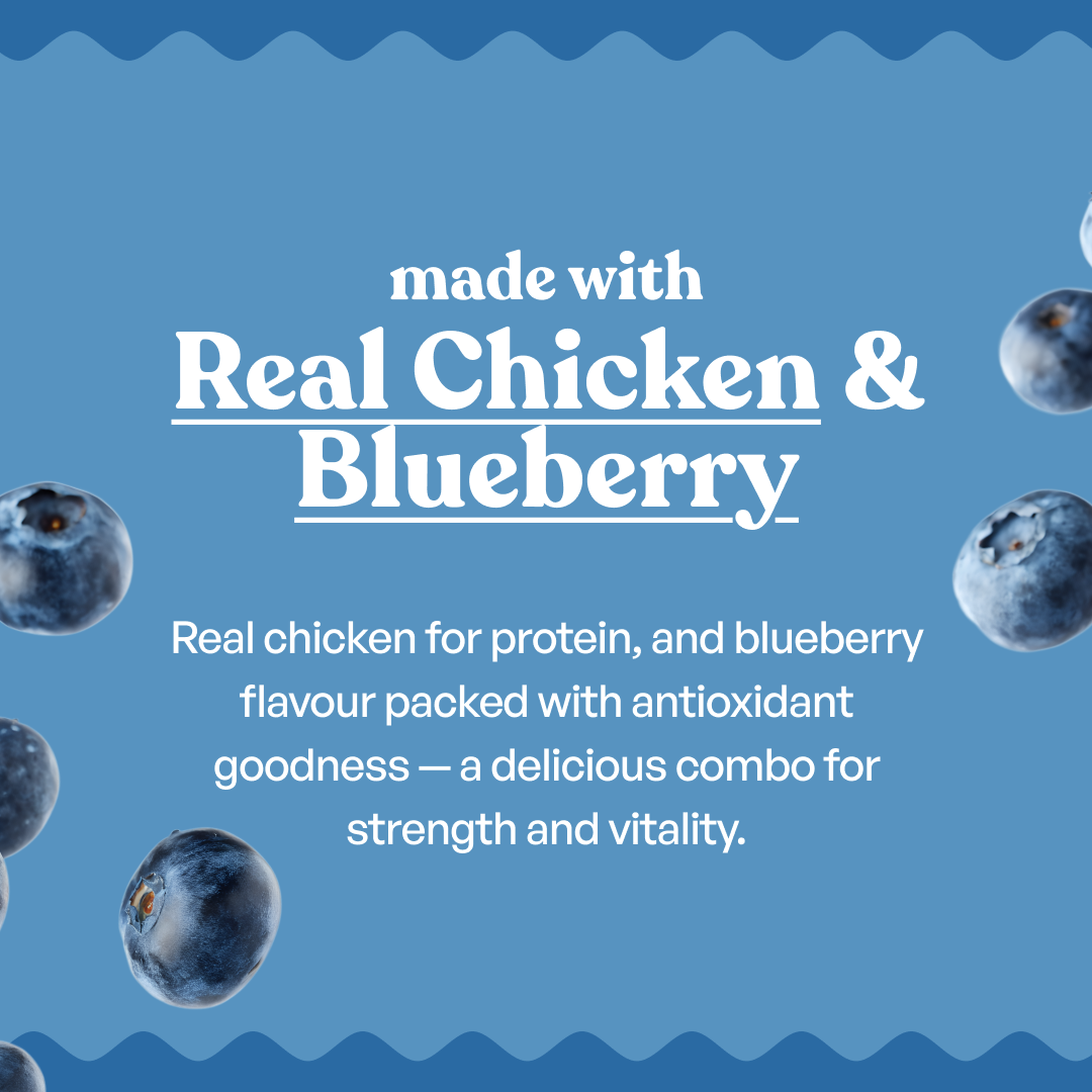 Sploot Real Chicken and Blueberry Soft Sticks - 70g