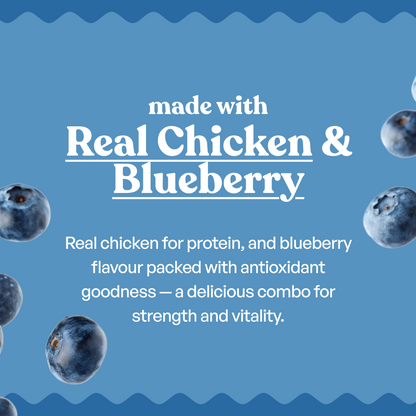 Sploot Real Chicken and Blueberry Soft Sticks - 70g