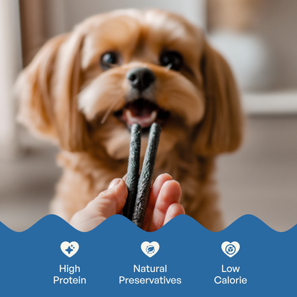 Sploot Real Chicken and Blueberry Soft Sticks - 70g