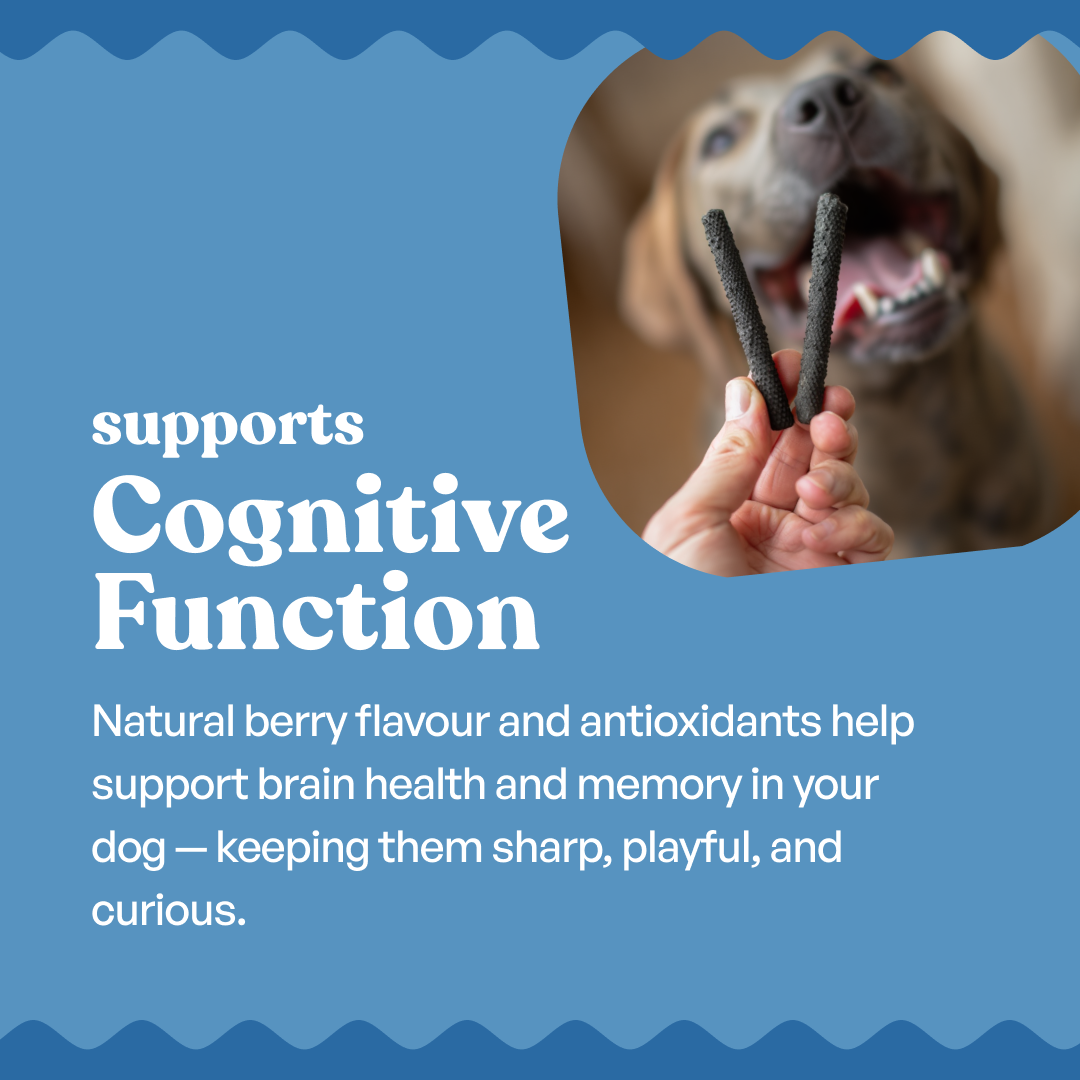 Sploot Real Chicken and Blueberry Soft Sticks - 70g