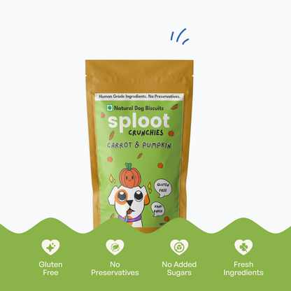 Carrot & Pumpkin Biscuits | Dog Treats