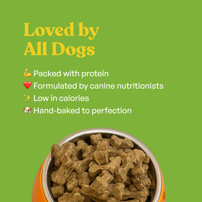 Carrot & Pumpkin Biscuits | Dog Treats