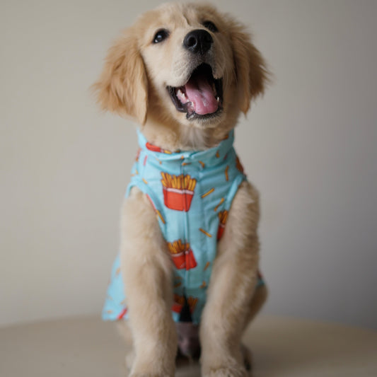 Pawgy Pets Fries over guys Sando Blue  for Dogs