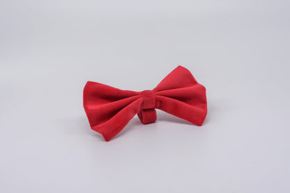 Detachable Suede Bow Tie for Collars by pAww!
