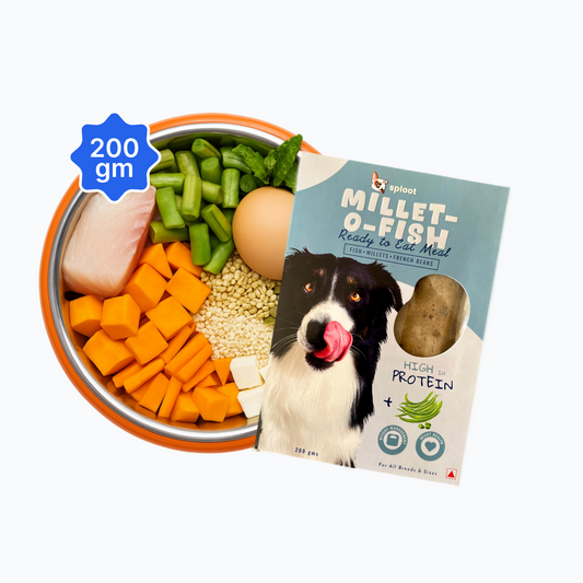 Millet O Fish Dog Food Subscription (200gm)