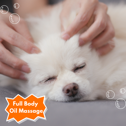 Full Body Oil Massage