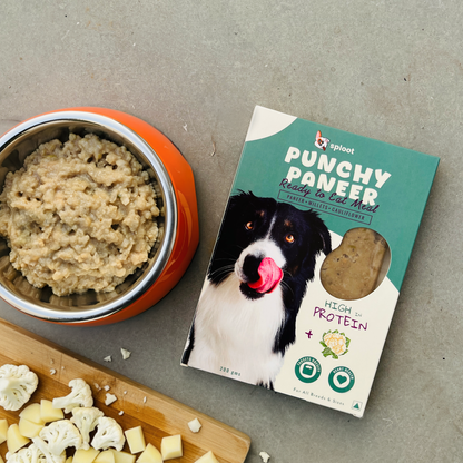 Punchy Paneer Dog Food