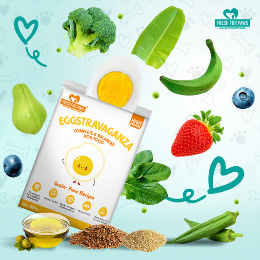 Eggstravaganza: Fresh Food by Fresh For Paws