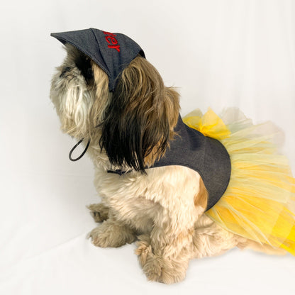 Pawgy Pets Denim Frill Dress for Dogs