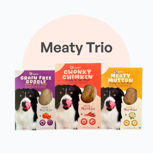 Meaty Trio | Taster Pack | Dog Food