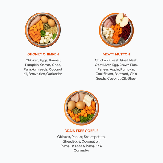 Meaty Trio | Taster Pack | Dog Food