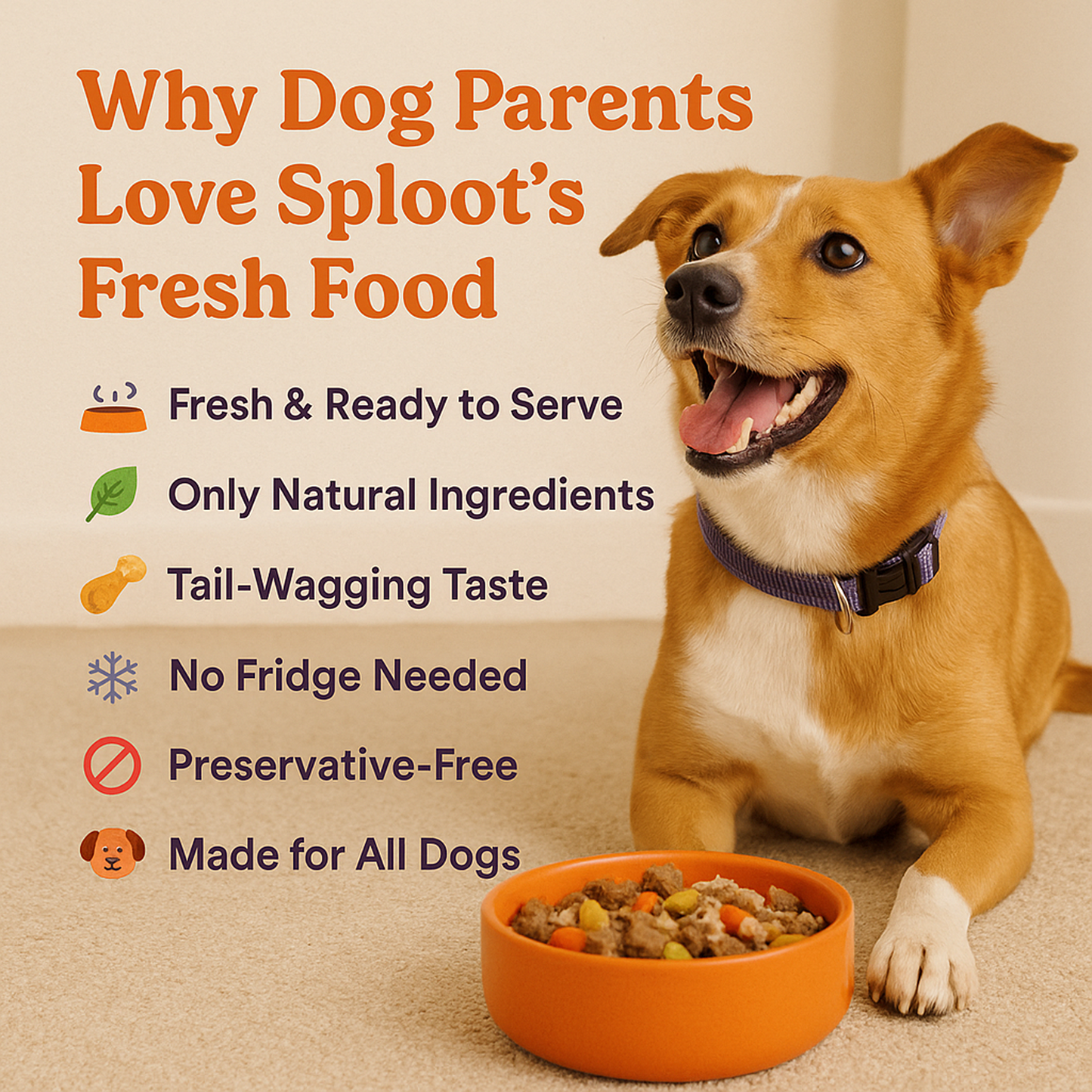 Meaty Mutton Dog Food Subscription (200gm)